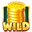 Coin Stack Wild Symbol
