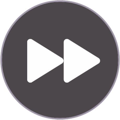 Skip animations button