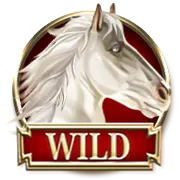 Image of Wild Symbol
