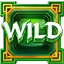 Wild Symbol
