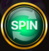 Spin Button