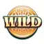 Wild Symbol