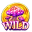 Wild Symbol