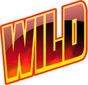 wild symbols