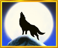 26990576_68678ef97d3d1.png