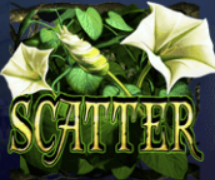 322506034_680f3edc73893.png