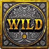 Image of Wild Symbol