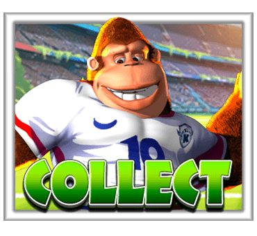 cashcollect