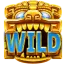 Wild Symbol Image