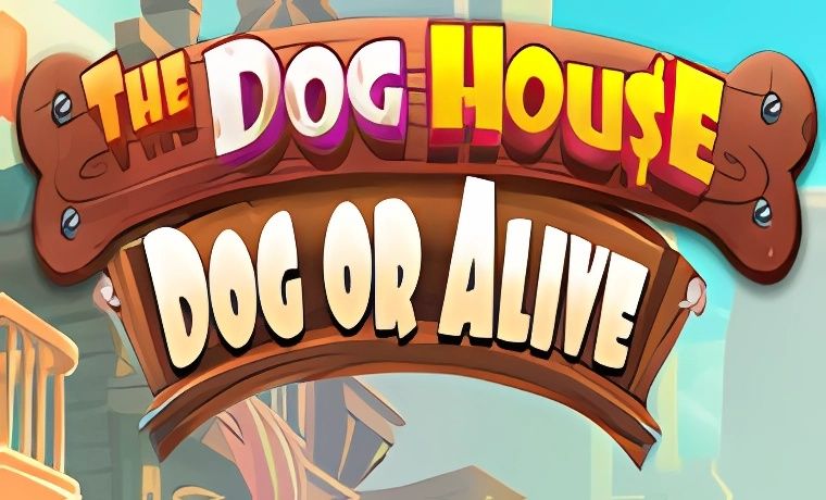 The Dog House – Dog or Alive