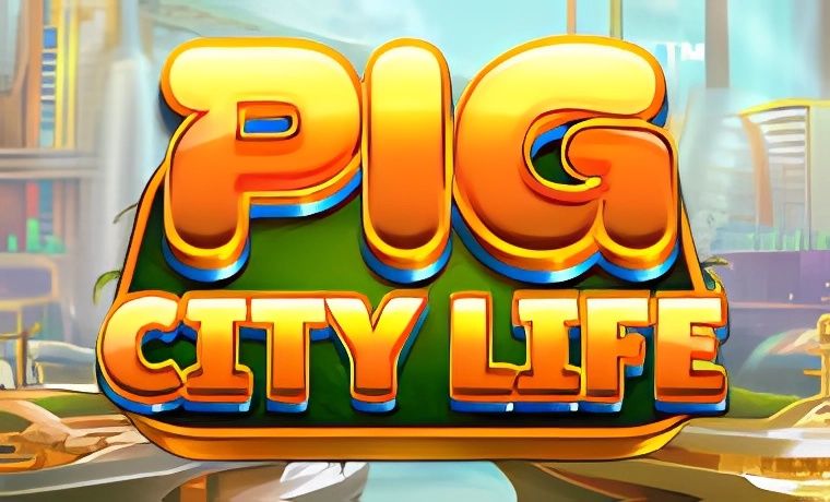 Pig City Life